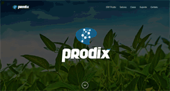 Desktop Screenshot of prodix.com.br