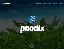 Tablet Screenshot of prodix.com.br